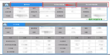 如何高效上网查询体育分数一站式指南