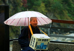 惊险体验，网约车走小路之旅