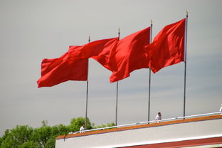 中国首次参加冬奥会，从初露锋芒到扬帆起航